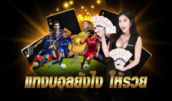 ต้นเหล่านี้จะมีประโยชน์ในการเริ่มต้น เล่นเกมบาคาร่าสำหรับคุณ ท่านก็สามารถเข้าร่วมเล่นและทดลองโชคลงเดิมพันได้แล้ววันนี้! ขอทางเข้าzeegame